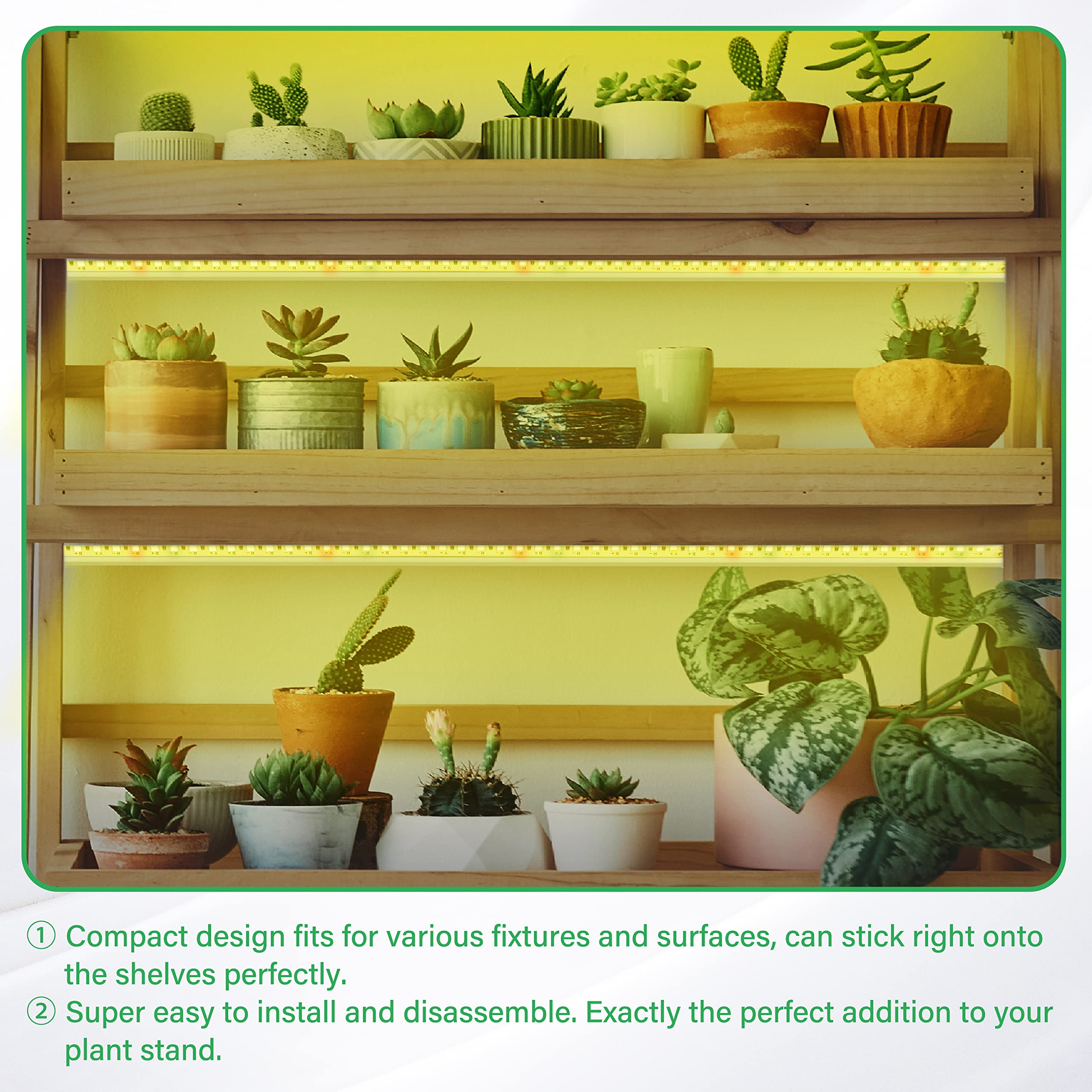 iPower 40W LED Plant Grow Light Strips Full Spectrum for Indoor Plants with Auto ON/Off 3/9/12H Timer, 10 Dimmable Levels 48 LEDs Per Tude, for Hydroponics Succulent, 3 Tubes, Yellow - Image 6