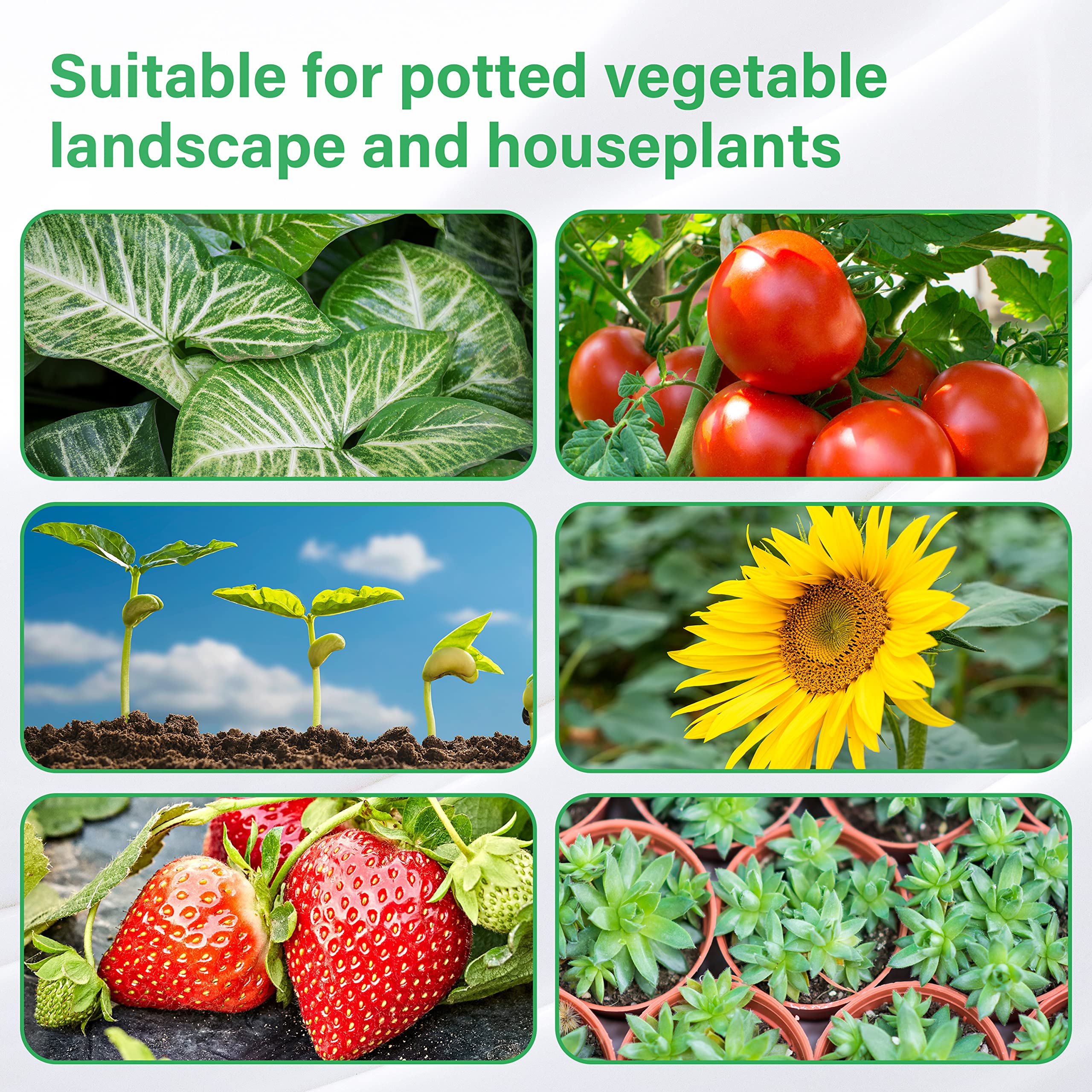 iPower 40W LED Plant Grow Light Strips Full Spectrum for Indoor Plants with Auto ON/Off 3/9/12H Timer, 10 Dimmable Levels 48 LEDs Per Tude, for Hydroponics Succulent, 3 Tubes, Yellow - Image 7