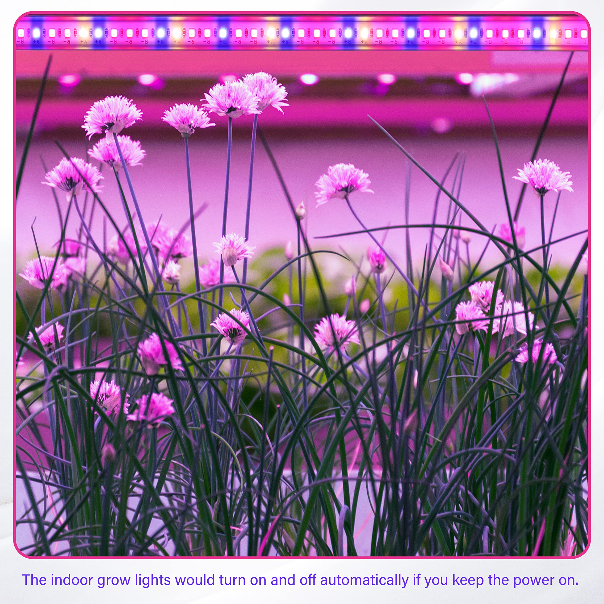 iPower 20W LED Plant Grow Light Strips Full Spectrum for Indoor Plants with Auto ON/Off 3/9/12H Timer, 10 Dimmable Levels 48 LEDs Per Tude, for Hydroponics Succulent, 2 Tubes, Mix - Image 6