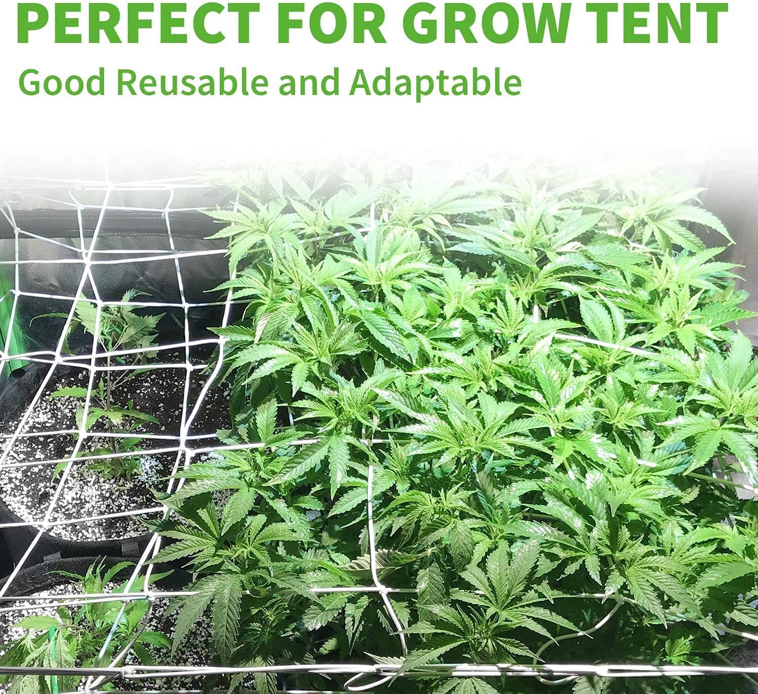 iPower 4-Pack 3x3FT Elastic Trellis Netting with 6 Hooks for Greenhouse Indoor and Outdoor Climbing Plants, Flowers, 3' x 3', White - Image 7