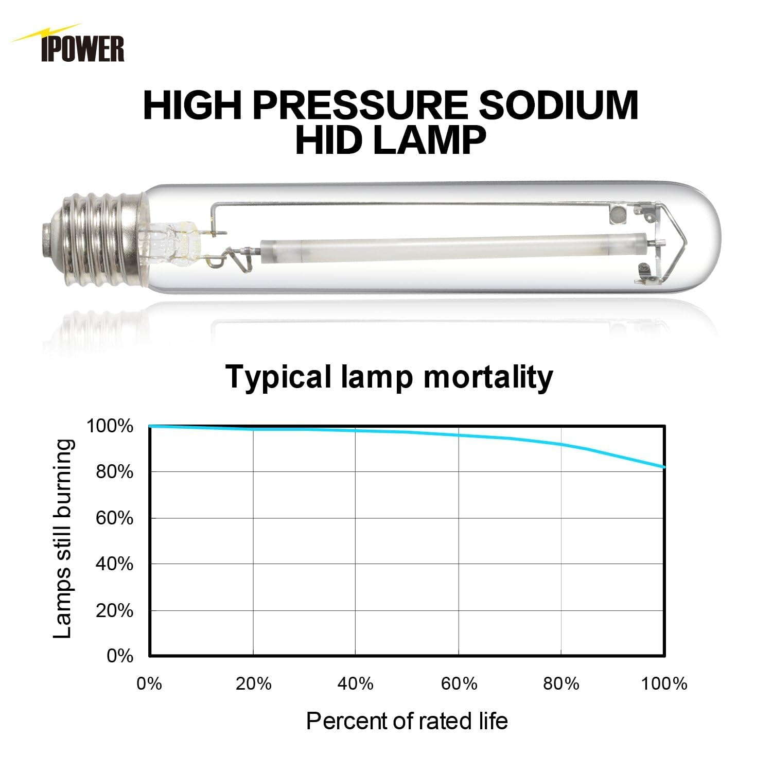 iPower 400W HPS Grow Light Bulb Lamp for Plants Growth, Pressure Sodium Bulb Lamp with High PAR Enhanced Red and Orange Spectrums, CCT 2100K - Image 5