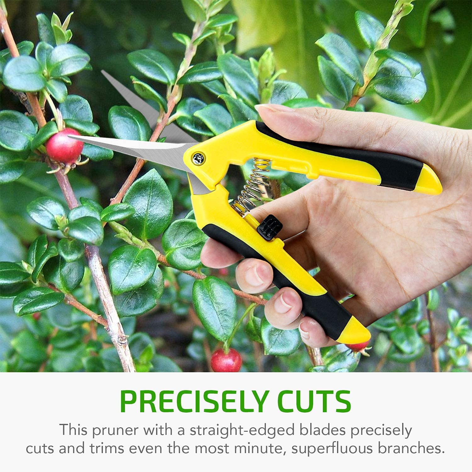 iPower 6.5 Inch Gardening Scissors Hand Pruner Pruning Shear with Straight Stainless Steel Blades, Yellow, 2-Pack - Image 6