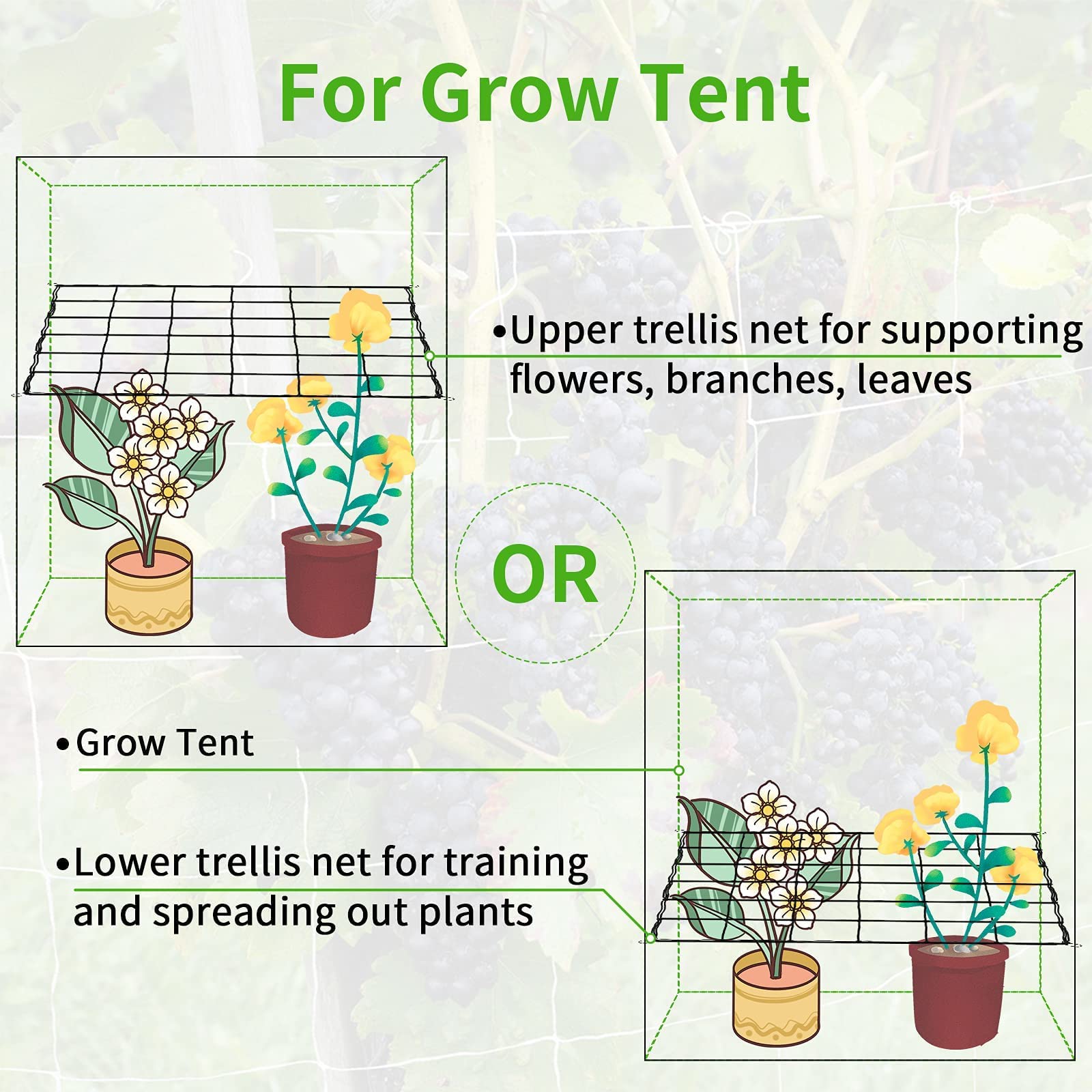 iPower Elastic Trellis Netting for 5x5FT Grow Room, Heavy-Duty Plant Net with Hooks, Flexible Hydroponics Support for Indoor Plants, Gardening, and Horticulture - Image 6