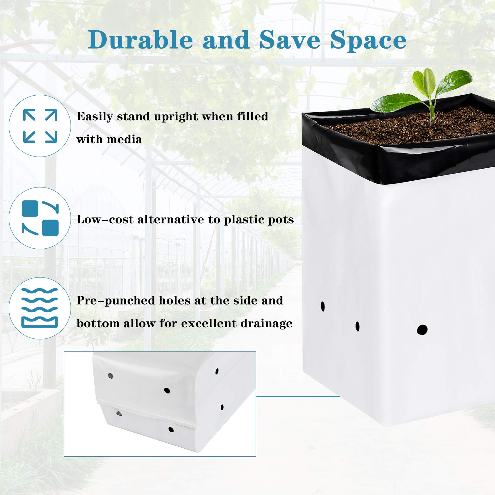 iPower GLGROWBAGFILM1X50 50-Pack 1 Gallon Black and White Grow Bags Panda Film Containers for Plants, Seedling and Rooting, Square Shape - Image 4