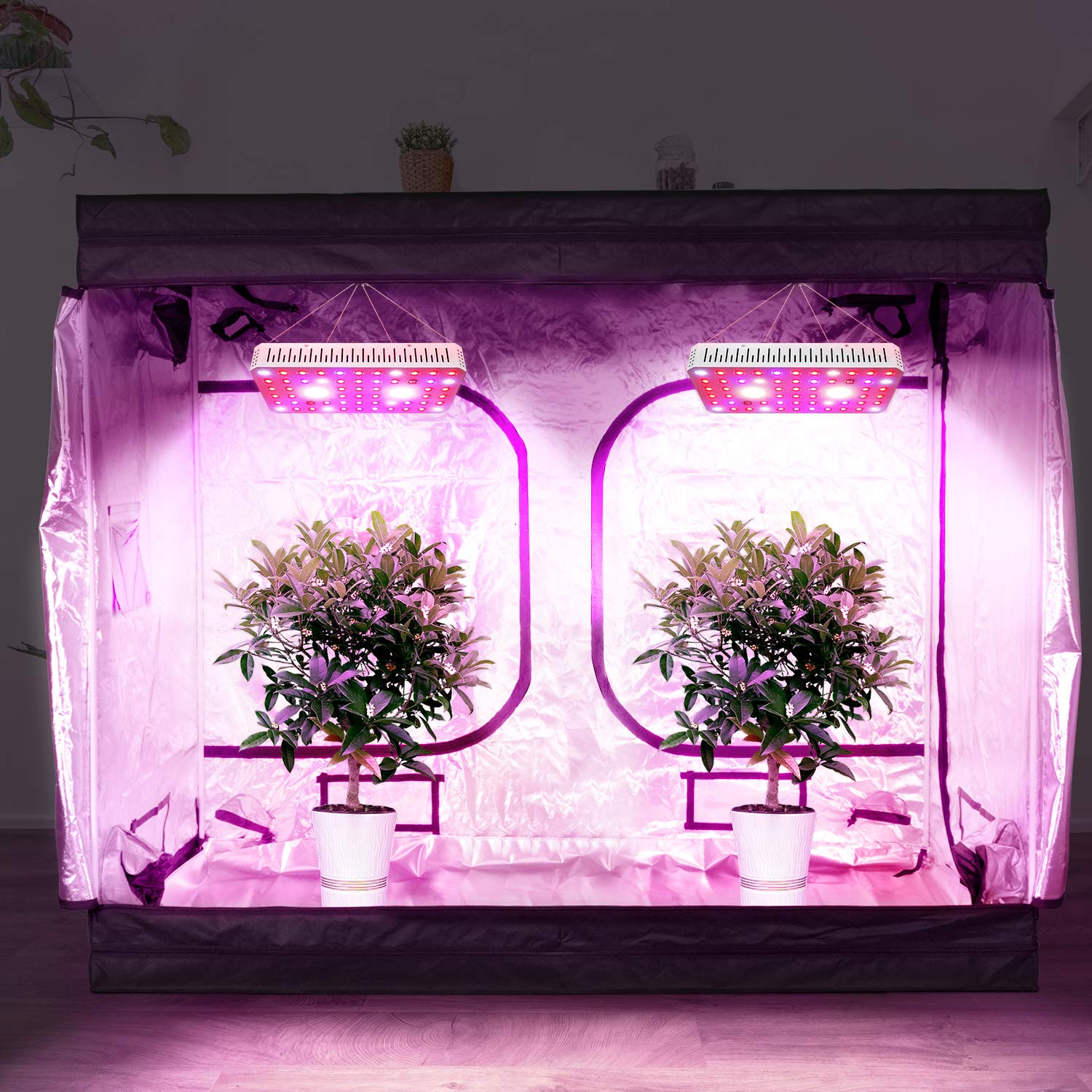 iPower GLLEDXCOB2000E 200W LED Plant Grow Light Full Spectrum with CREE COB and Adjustable Rope, Indoor Hydroponics - Image 10