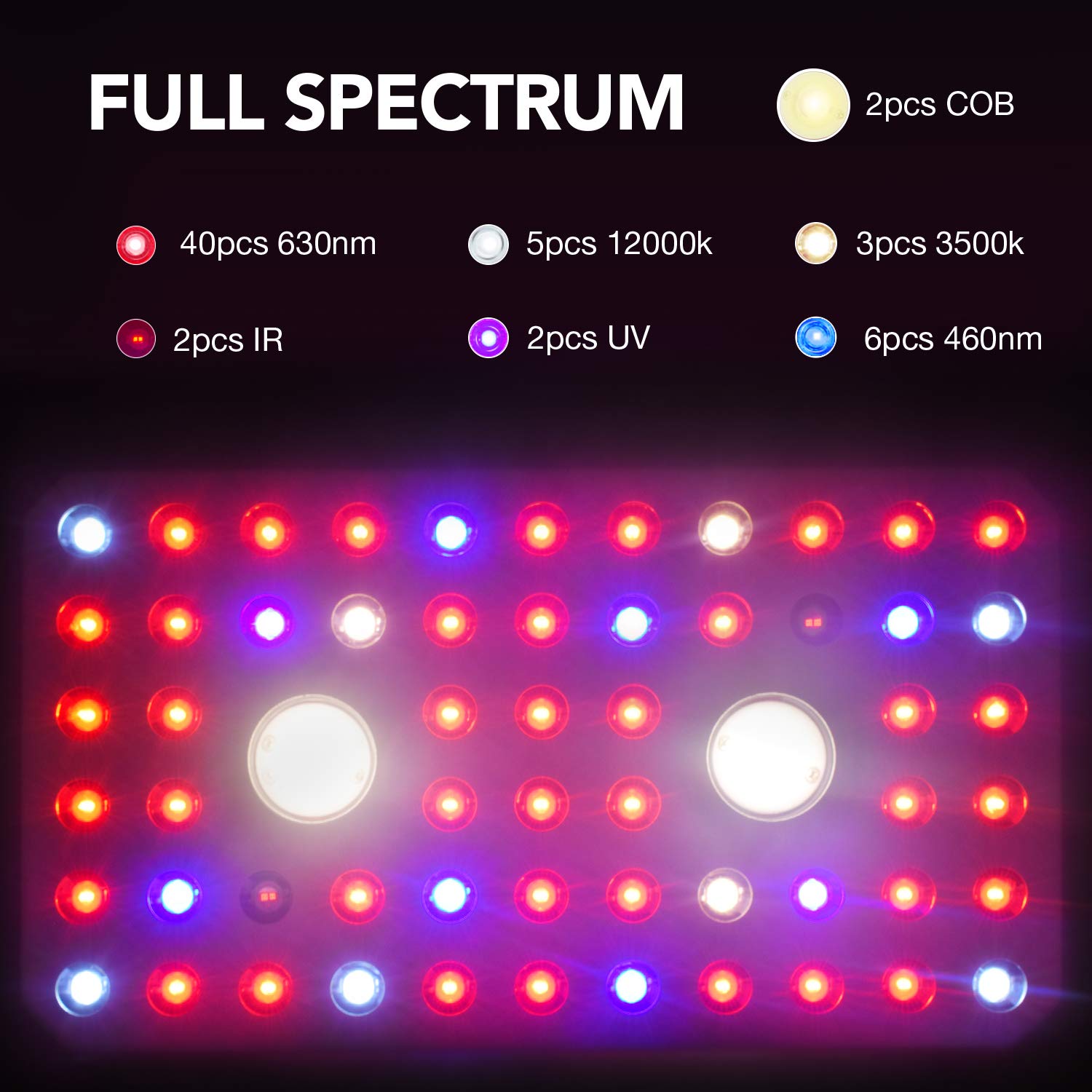 iPower GLLEDXCOB2000E 200W LED Plant Grow Light Full Spectrum with CREE COB and Adjustable Rope, Indoor Hydroponics - Image 7