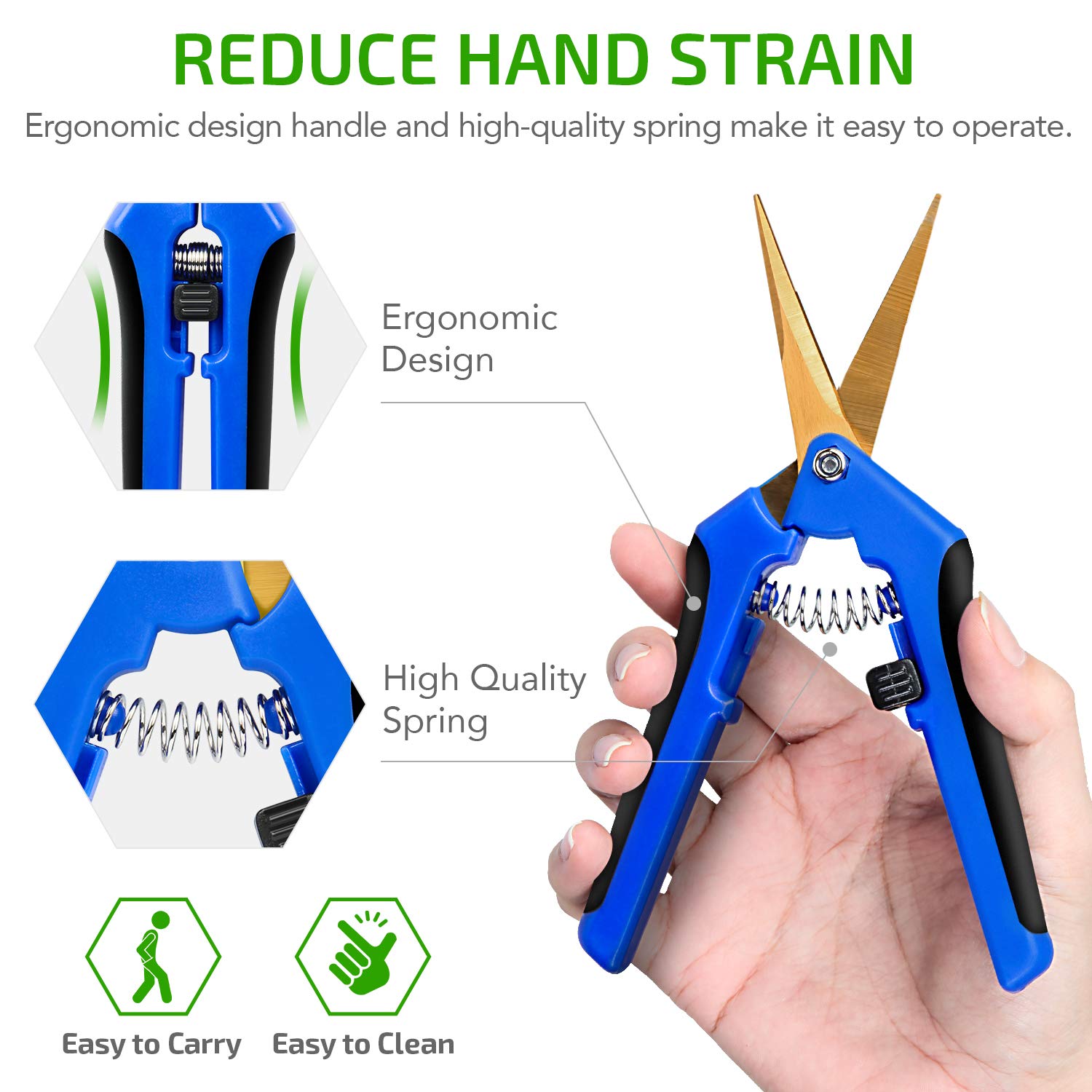 iPower GLPRNR6BLTIX2 2-Pack 6.5” Gardening Hand Pruner Shears with Titanium Coated Curved Precision Blades for Trimming House Plants, Blue - Image 3