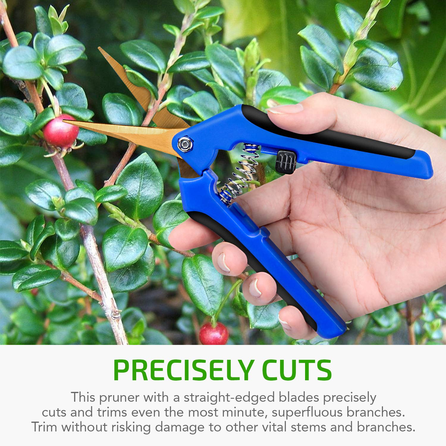 iPower GLPRNR6BLTIX2 2-Pack 6.5” Gardening Hand Pruner Shears with Titanium Coated Curved Precision Blades for Trimming House Plants, Blue - Image 6