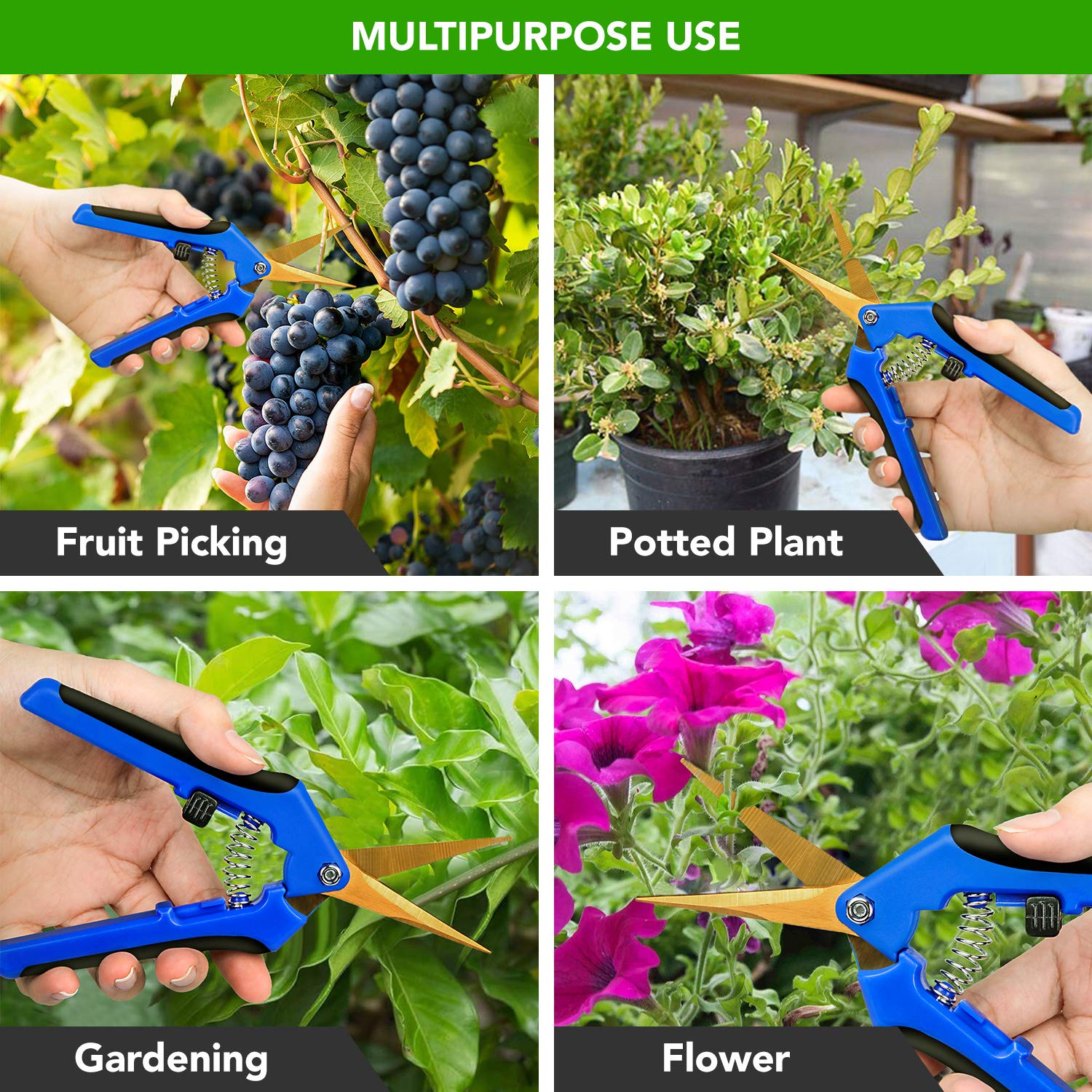 iPower GLPRNR6BLTIX2 2-Pack 6.5” Gardening Hand Pruner Shears with Titanium Coated Curved Precision Blades for Trimming House Plants, Blue - Image 7