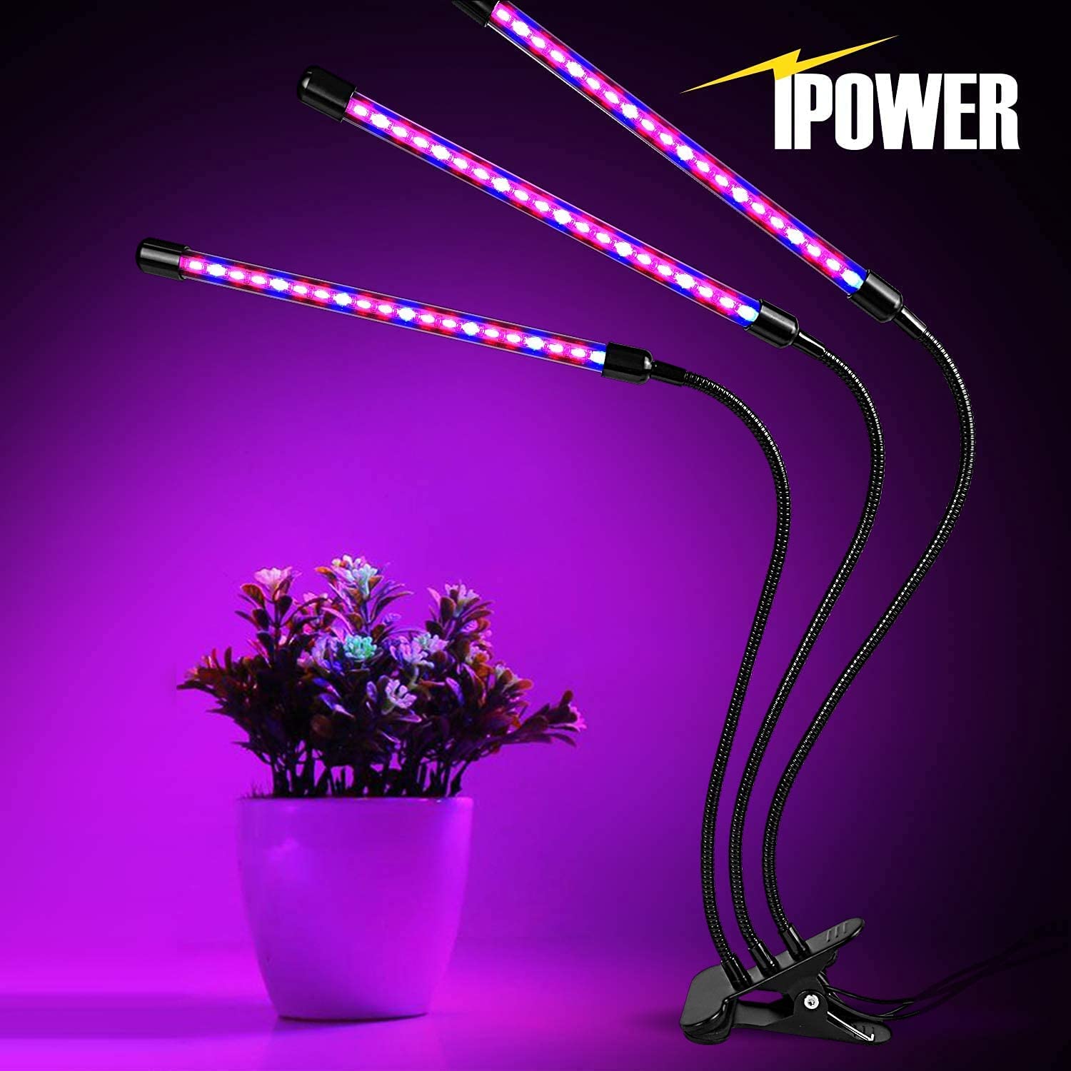 iPower Grow Full Spectrum and 60 Blue Red LEDs for Indoor Plants 11-Level Dimmable, 3 Lighting Modes, Auto On Off with 3/9/12H Timer, Red&Blue - Image 6
